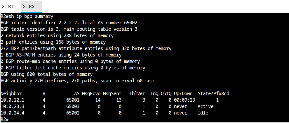 show ip bgp summary on R2
