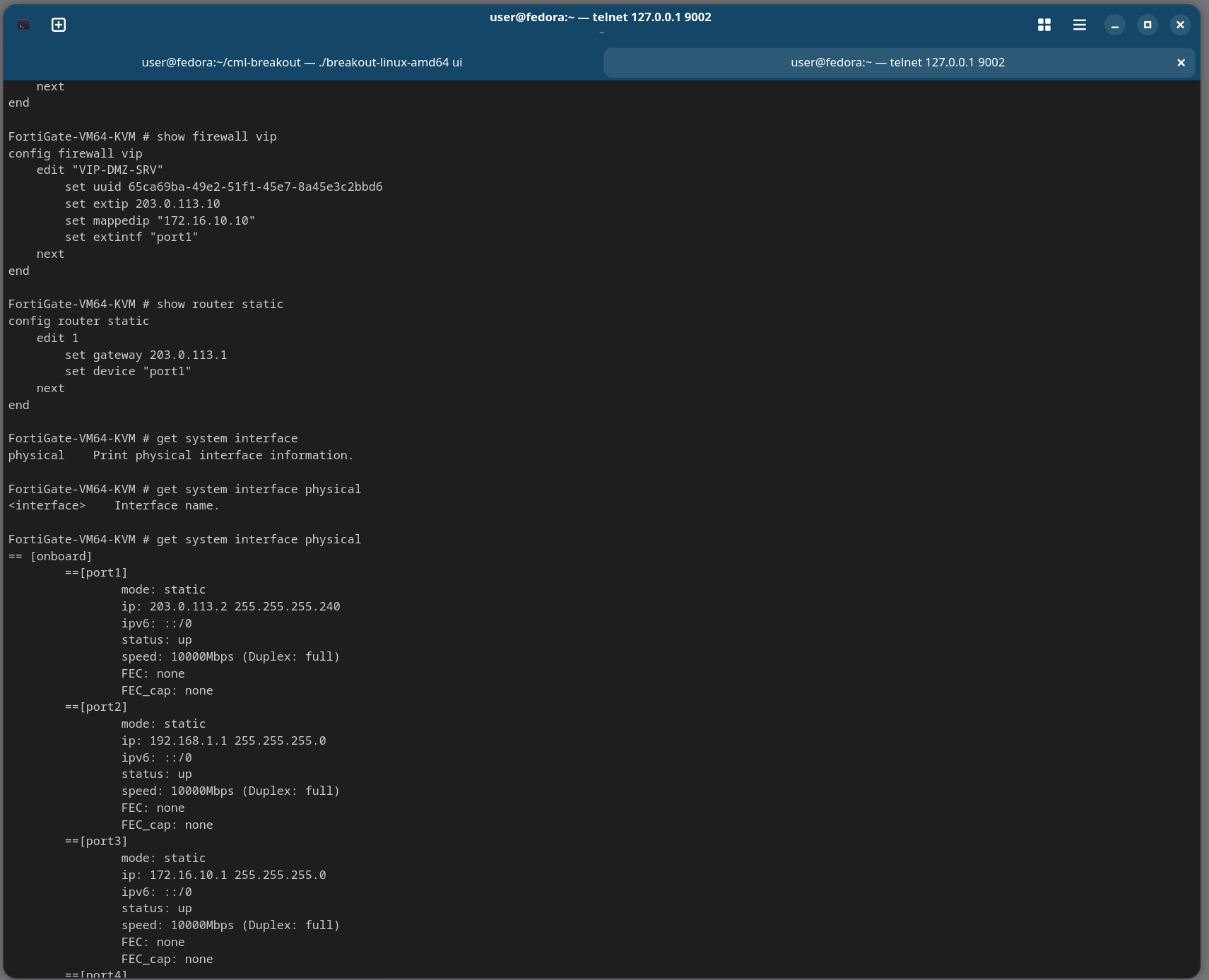 CLI verification — interfaces, addresses, allowaccess
