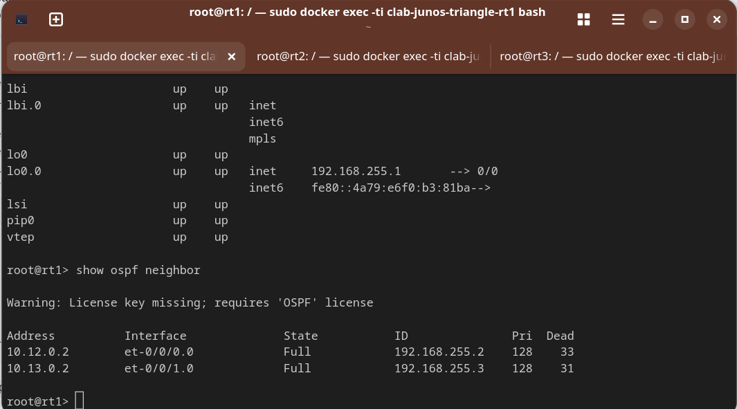 Junos OSPF — neighbor / interface state