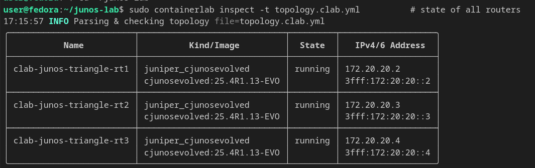 Junos OSPF — route table / verification